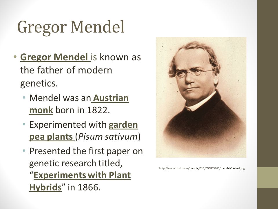 Gregor mendel research paper